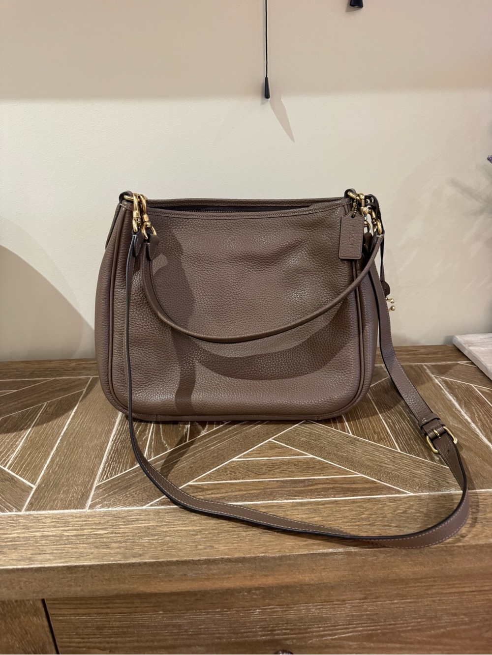 Coach Cary Large Stone Leather Convertible Crossbody Shoulder Bag